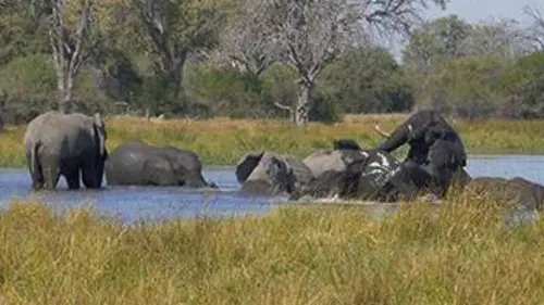 Afrique australe S01E01 La quête de l'eau