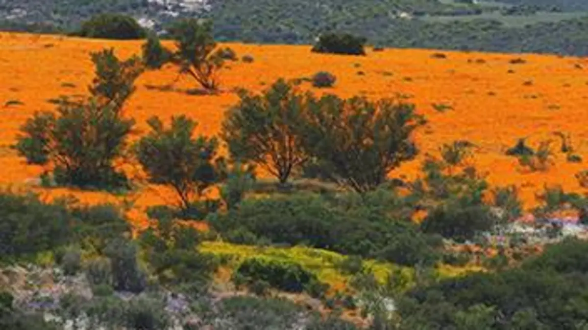 Afrique australe S01E02 Le royaume des couleurs