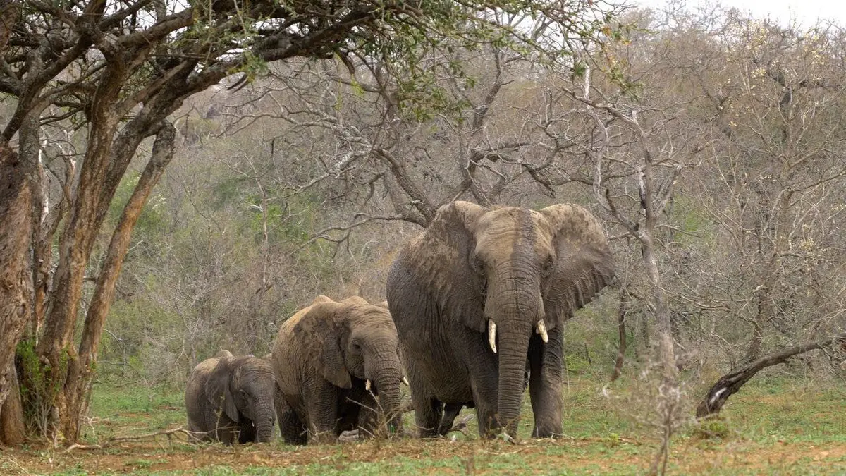Afrique australe S01E03 Les côtes sauvages