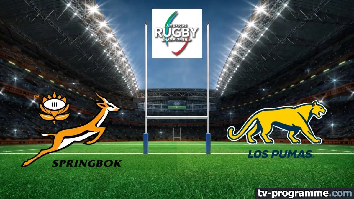 Afrique du Sud / Argentine Rugby The Rugby Championship 2024