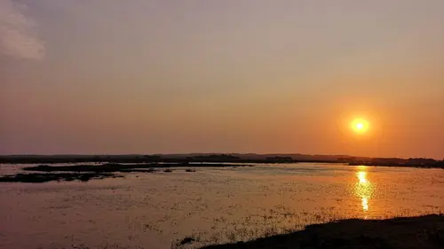 Afrique du Sud, paradis océanique Le retour des géantes des mers
