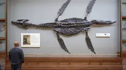 Afrique du Sud, paradis océanique