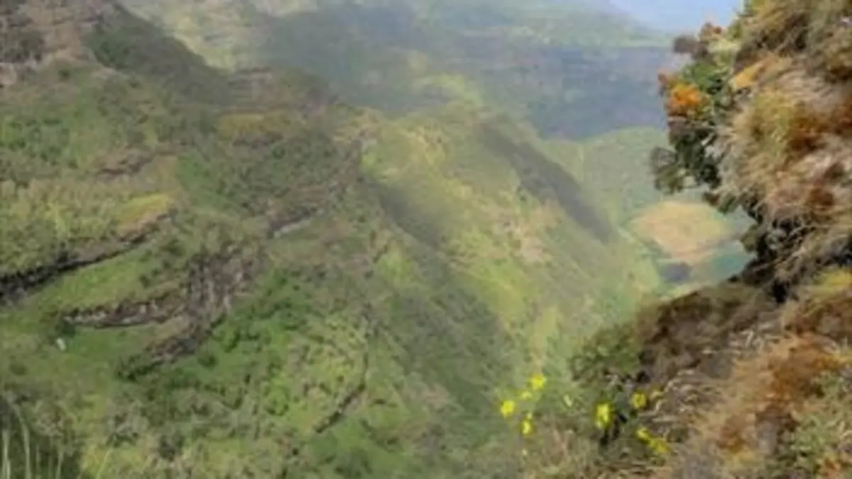 Afrique extrême E03 Les monts Simiens