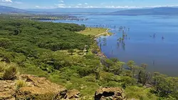 Visuel de Afrique : le grand Rift