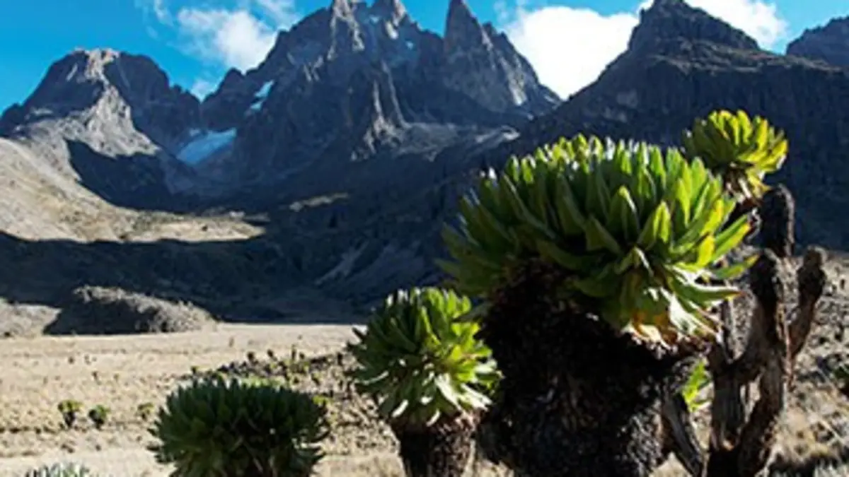 Afrique : le grand Rift