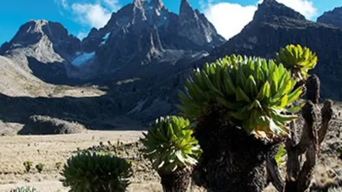 Afrique : le grand Rift Terre de volcans