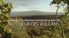 Afrique : Les trésors cachés de la nature