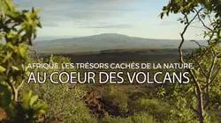 Sur Ushuaïa TV à 21h45 : Afrique : Les trésors cachés de la nature