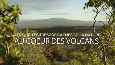 Afrique : Les trésors cachés de la nature