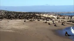 Afrique, royaume impitoyable