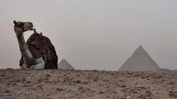 Afrique sauvage E01 Le Nil