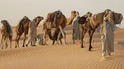 Afrique sauvage E04 Le Sahara