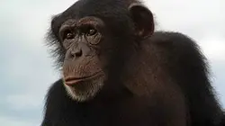 Afrique sauvage E02 La savane