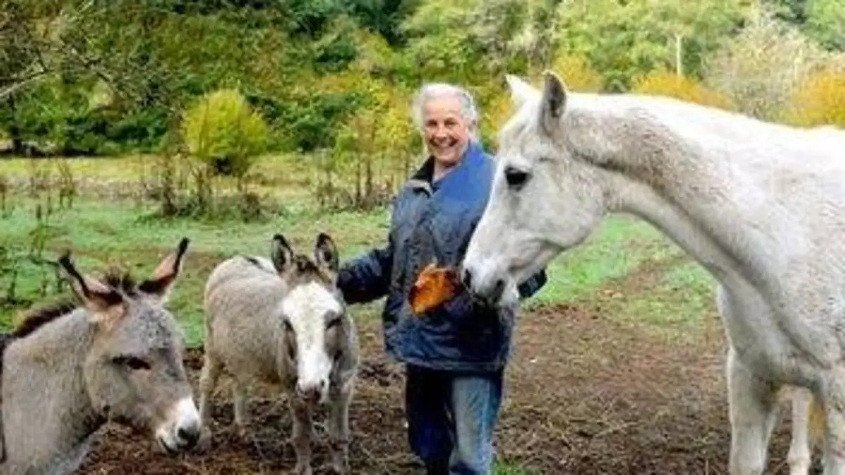 Agent orange, la dernière bataille