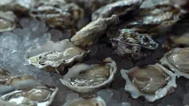 L'huître en Occitanie