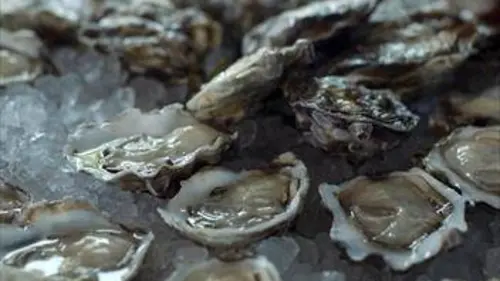 Agitateurs de goût S01E01 L'huître en Occitanie