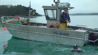 La Saint-Jacques de la Côte d'Emeraude