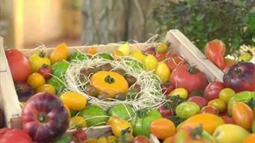 Agitateurs de goût S01E06 Les tomates anciennes