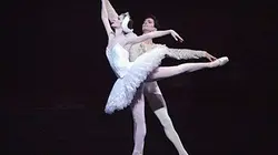 Visuel de Agnès Letestu, l'apogée d'une étoile