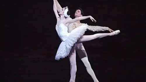 Agnès Letestu, l'apogée d'une étoile