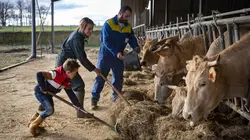 Agriculteurs, au coeur du monde rural