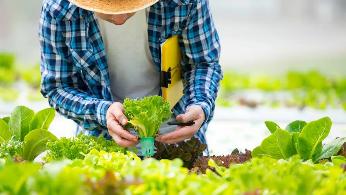 Agriculteurs : entre doutes et passion