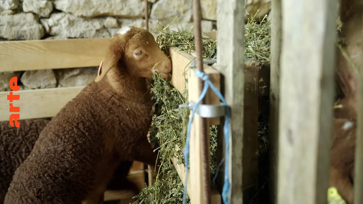 Agriculture et effet de serre