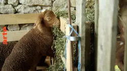 Agriculture et effet de serre