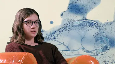 La querelle des deux lézards