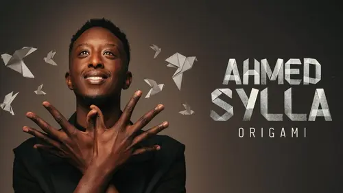 Ahmed Sylla : Origami