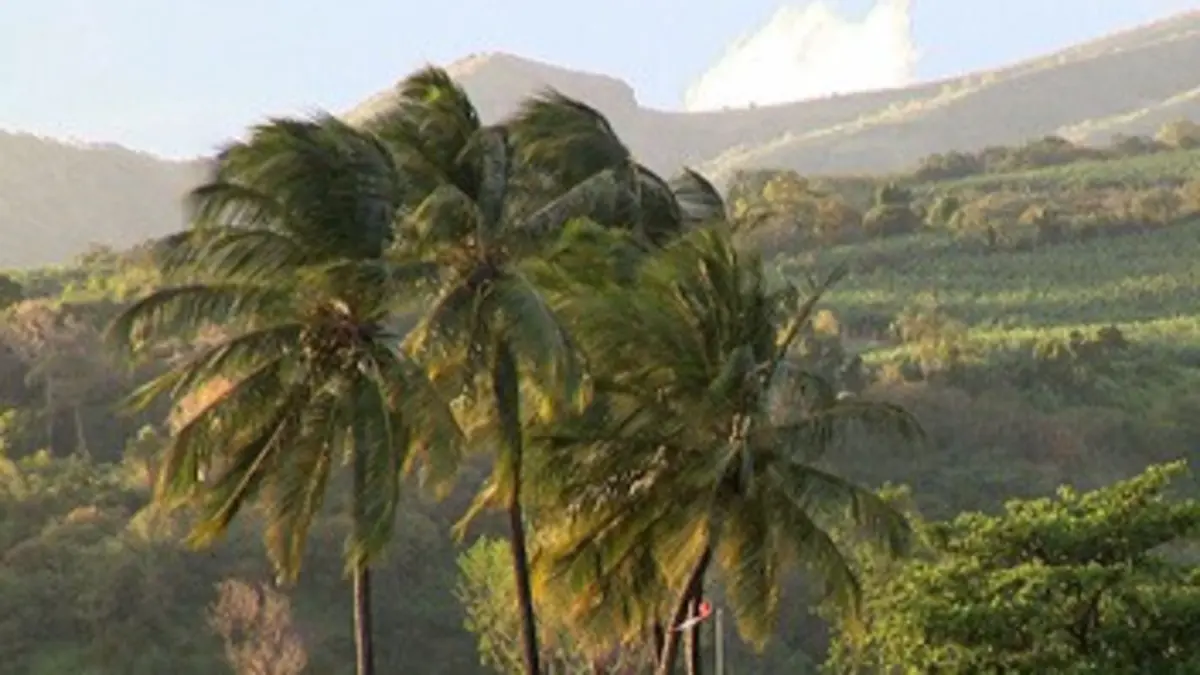 Aimé Césaire, une île d'avance