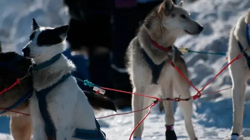 Air Alaska S02E10 Des gâteaux dans l'avion