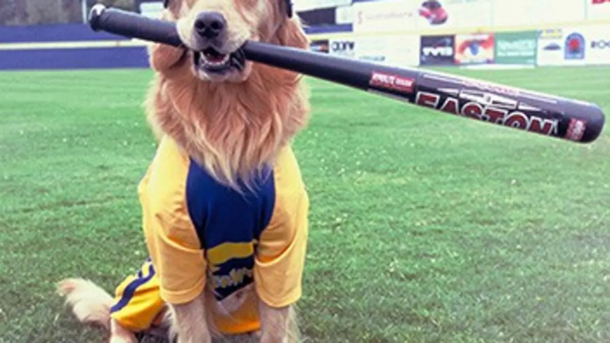 Air Bud 4