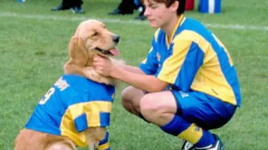 Air Bud, l'as du football