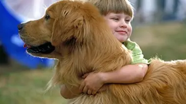 Air Bud, l'as du volley-ball