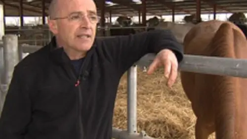 Alain Chopard, le nouvel alchimiste