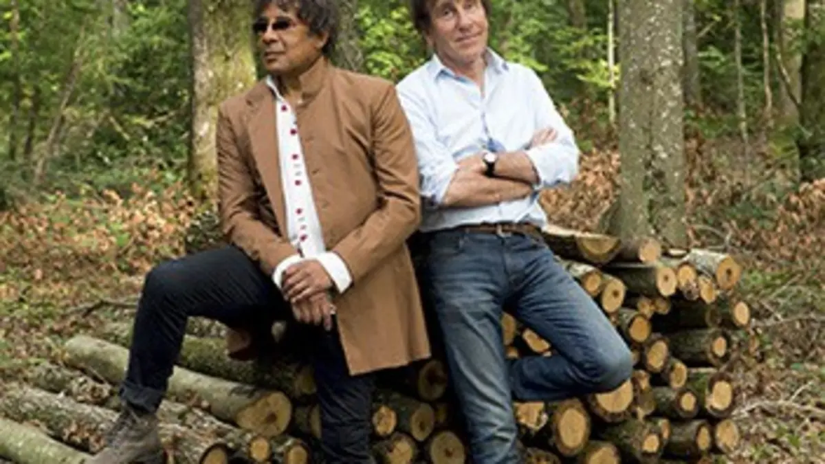 Alain Souchon et Laurent Voulzy