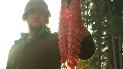 Alaska : 100 jours pour survivre