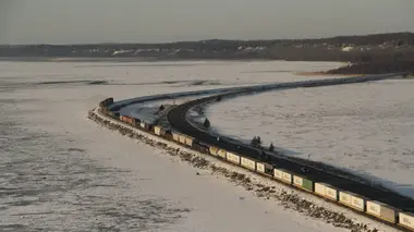 Alaska Express Attaque d'ours