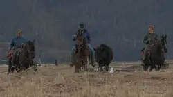 Alaska, la dernière frontière Met Printanier