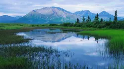 Alaska, la dernière frontière Aller de l'avant