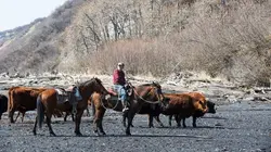 Alaska, la dernière frontière En partance