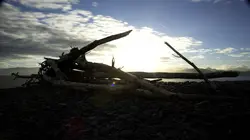 Alaska, la dernière frontière Couple en danger