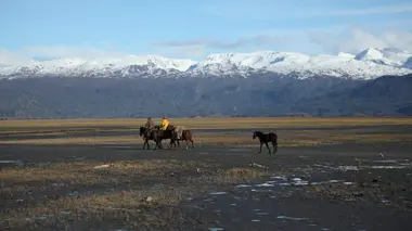 Alaska, la dernière frontière Gare au loup !