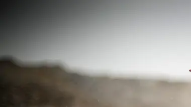 Le navire de l'or