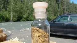 Alaska : La ruée vers l'or  Plus un sou