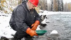 Alaska : La ruée vers l'or