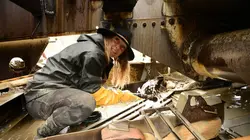 Alaska : La ruée vers l'or  L'or perdu de Paradise Hill