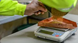 Alaska : La ruée vers l'or Une montagne d'or