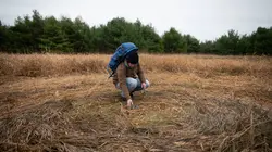 Alaska : le triangle maudit Les OVNI du Triangle
